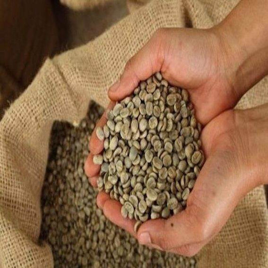 Café Oro Verde - NicaraguaExporta
