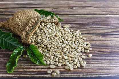 Café Oro Verde - NicaraguaExporta