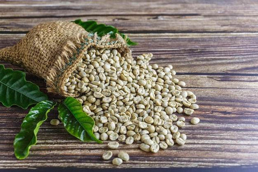 Café Oro Verde - NicaraguaExporta